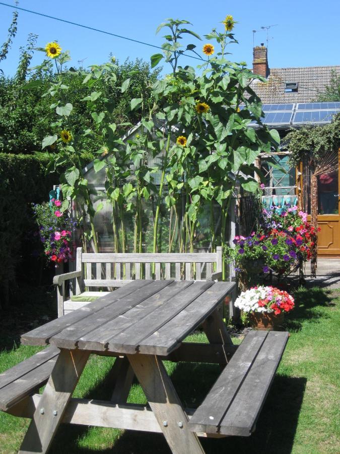 Perfect For Petersfield B&B 外观 照片